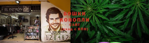 стаф Осинники