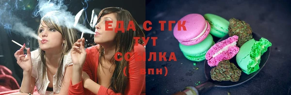 стаф Осинники