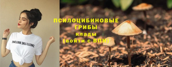 apvp Осташков