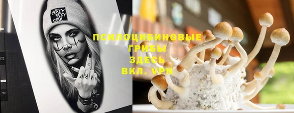 стафф Остров