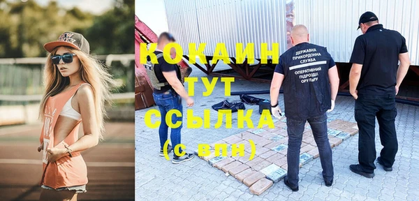 стаф Осинники