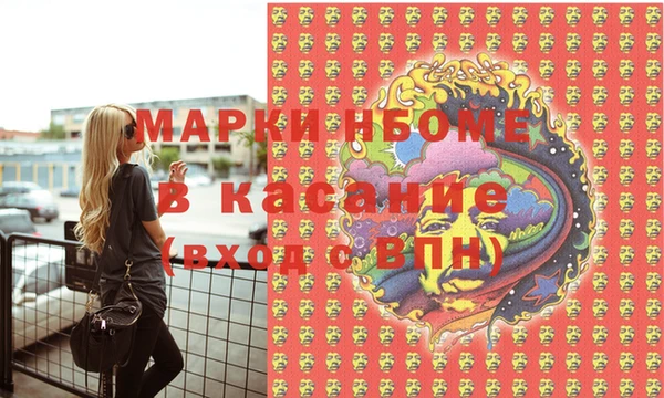 стаф Осинники