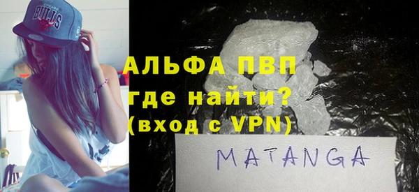 стаф Осинники