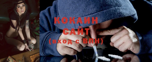 стаф Осинники