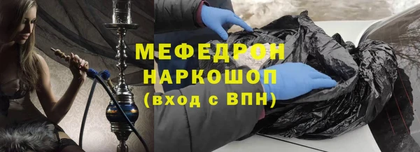 стаф Осинники